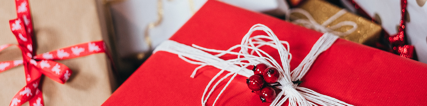 ”Julklappsutdelning”, rödgrönrosa föreslår satsningar på barn och unga denna jul