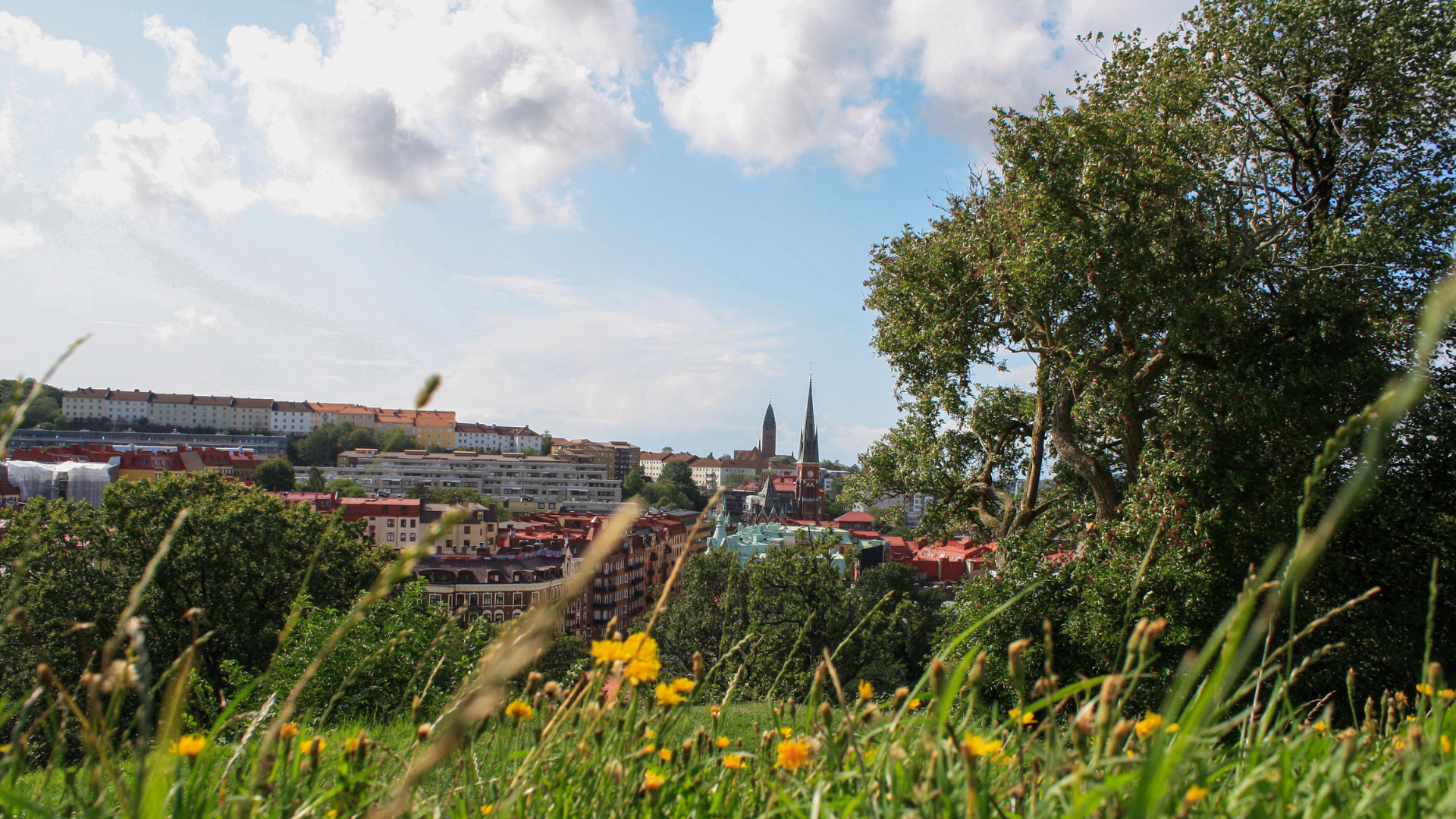 Vy över Göteborg med gräs och blommor i förgrund