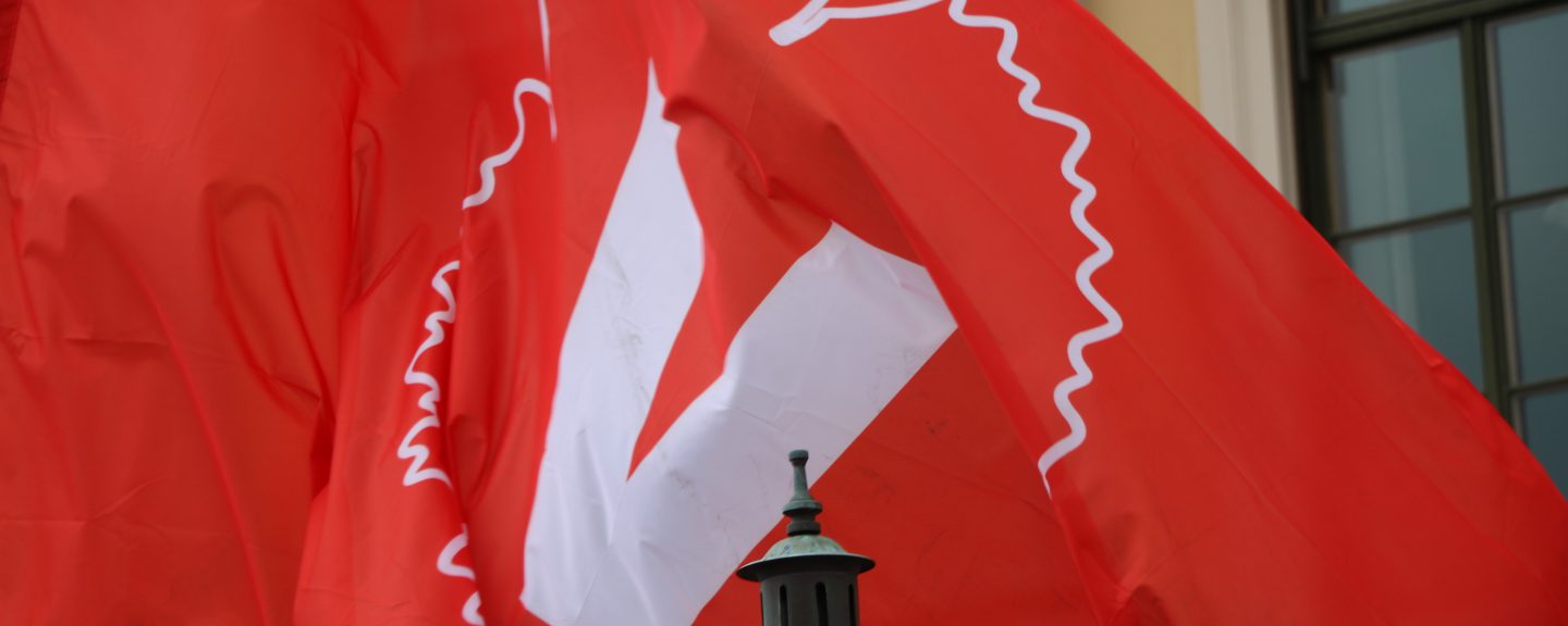 Vänsterpartiets röda flagga med loggan i mitten